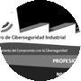 CCI Profesional Nivel Negro